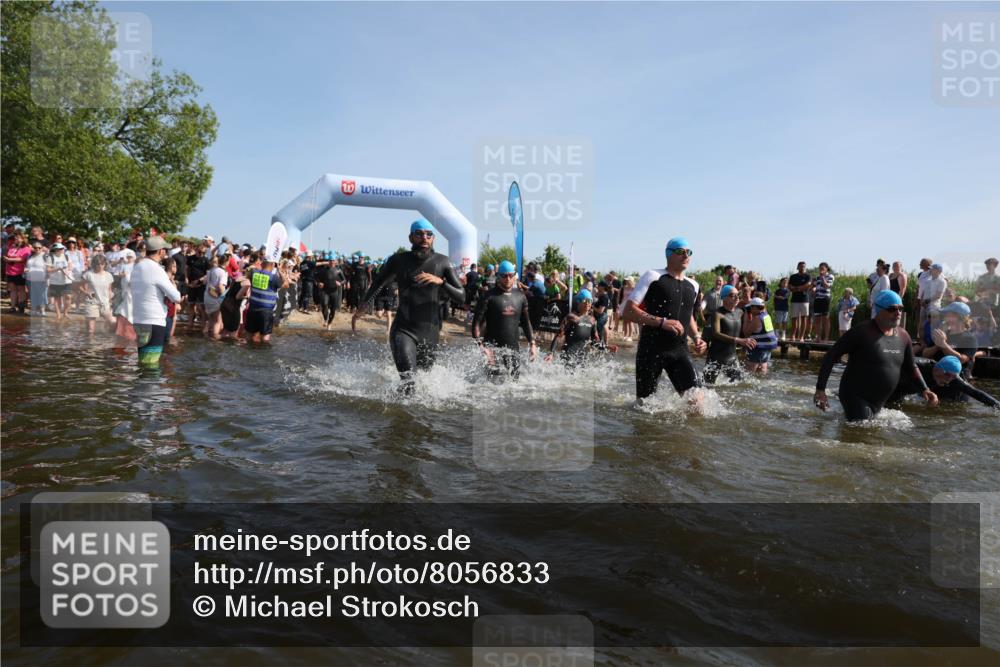 22.06.2025 - Viking Triathlon Michael Strokosch http://msf.ph/oto/8056833 22.06.2025 10:06:17 Schwimmen 39, 41, 60, 84, 110, 117, 153, 191, 266, 325, 385, 440, 446, 487, 535 meine-sportfotos.de