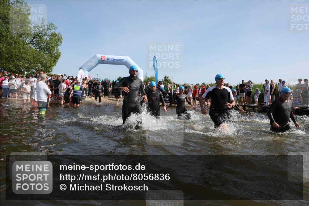 22.06.2025 - Viking Triathlon Michael Strokosch http://msf.ph/oto/8056836 22.06.2025 10:06:17 Schwimmen 39, 41, 60, 84, 110, 117, 153, 191, 266, 325, 385, 440, 446, 487, 535 meine-sportfotos.de