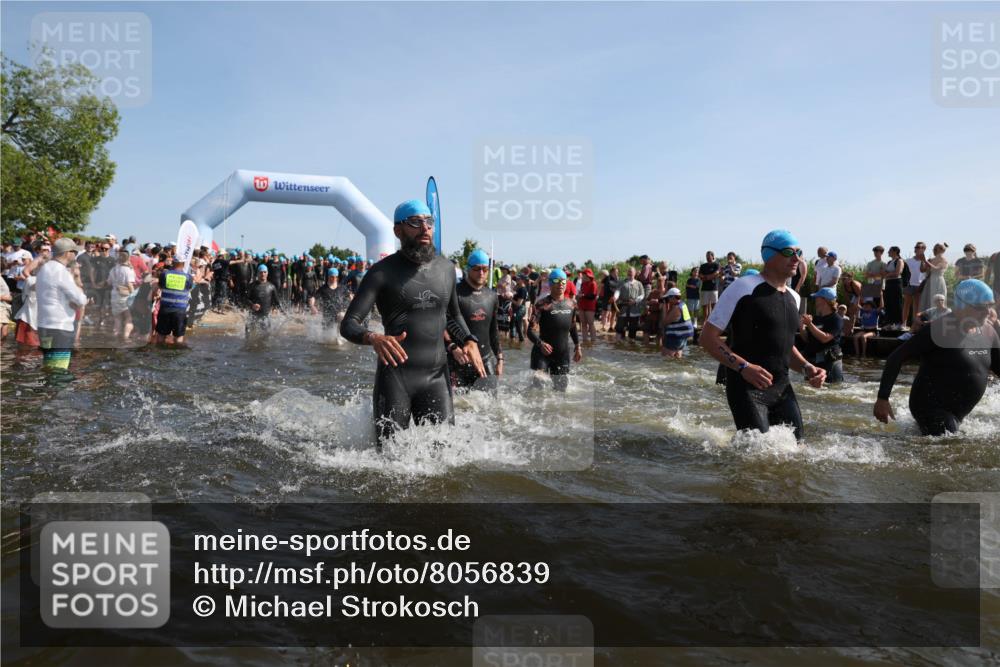 22.06.2025 - Viking Triathlon Michael Strokosch http://msf.ph/oto/8056839 22.06.2025 10:06:18 Schwimmen 39, 41, 60, 84, 110, 117, 153, 191, 266, 325, 385, 440, 446, 487, 535 meine-sportfotos.de