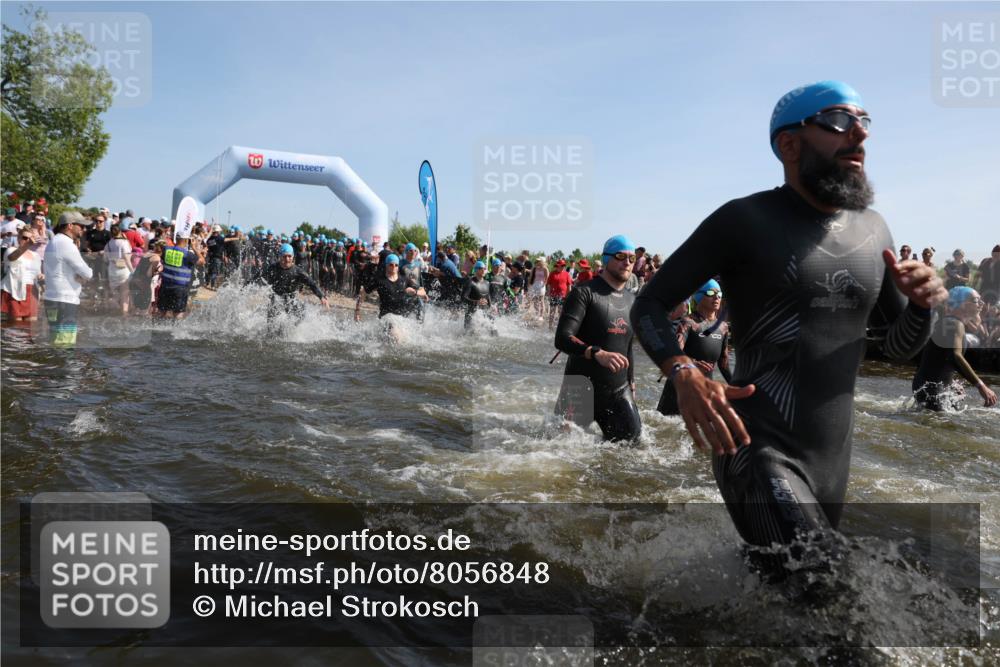 22.06.2025 - Viking Triathlon Michael Strokosch http://msf.ph/oto/8056848 22.06.2025 10:06:19 Schwimmen 18, 24, 39, 41, 60, 84, 110, 117, 153, 191, 266, 298, 325, 385, 440, 446, 487, 535 meine-sportfotos.de