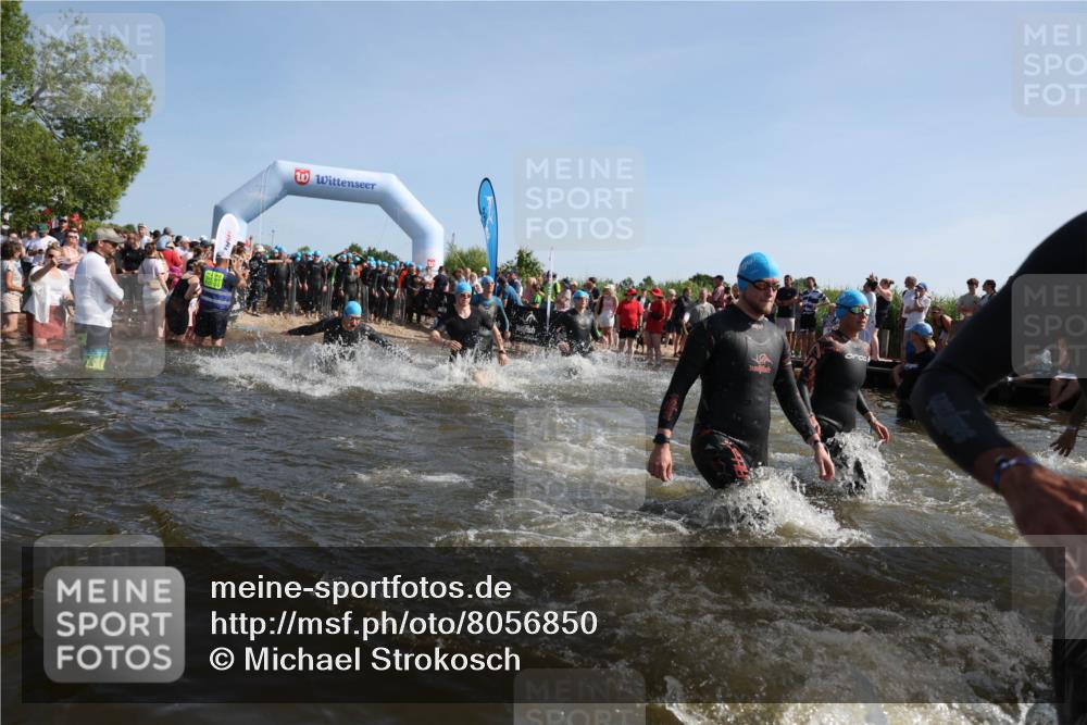 22.06.2025 - Viking Triathlon Michael Strokosch http://msf.ph/oto/8056850 22.06.2025 10:06:20 Schwimmen 18, 24, 36, 39, 60, 84, 110, 117, 153, 191, 192, 298, 385, 440, 487, 535 meine-sportfotos.de