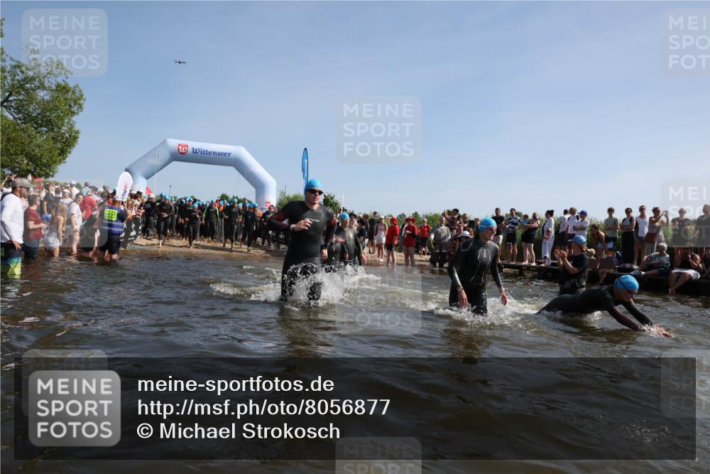 22.06.2025 - Viking Triathlon Michael Strokosch http://msf.ph/oto/8056877 22.06.2025 10:06:27 Schwimmen 18, 24, 36, 117, 153, 168, 186, 192, 261, 298, 385, 450, 487, 535, 606 meine-sportfotos.de