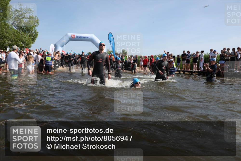22.06.2025 - Viking Triathlon Michael Strokosch http://msf.ph/oto/8056947 22.06.2025 10:06:49 Schwimmen 66, 74, 159, 165, 217, 219, 257, 282, 290, 318, 337, 501, 525, 533 meine-sportfotos.de