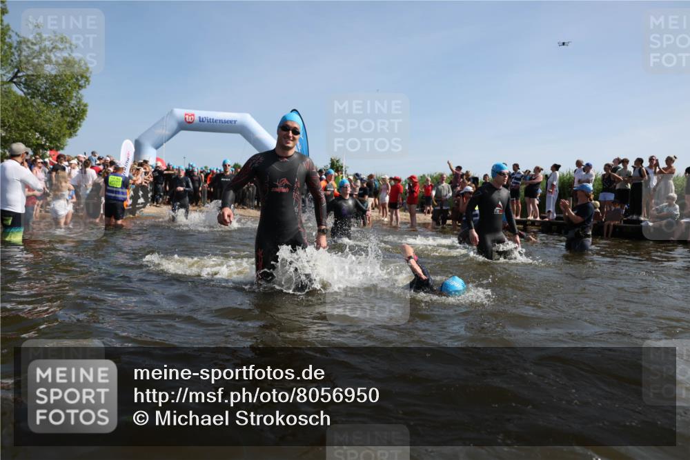22.06.2025 - Viking Triathlon Michael Strokosch http://msf.ph/oto/8056950 22.06.2025 10:06:50 Schwimmen 66, 165, 183, 217, 257, 282, 290, 318, 321, 337, 468, 479, 501, 525, 533 meine-sportfotos.de