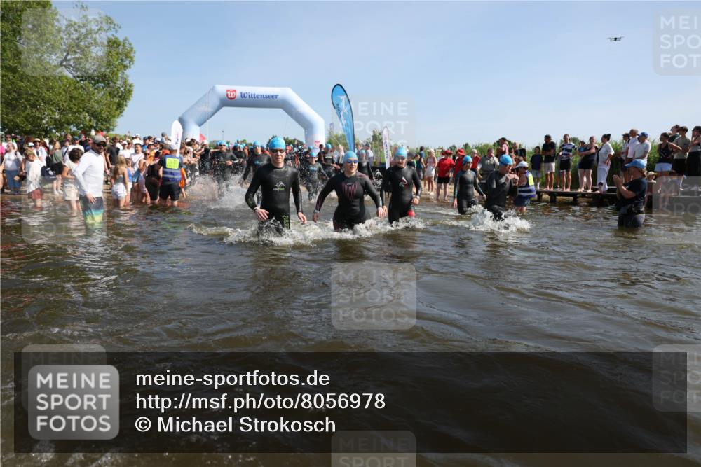 22.06.2025 - Viking Triathlon Michael Strokosch http://msf.ph/oto/8056978 22.06.2025 10:06:58 Schwimmen 66, 183, 244, 290, 318, 321, 337, 369, 467, 468, 479, 494, 498, 525, 533 meine-sportfotos.de