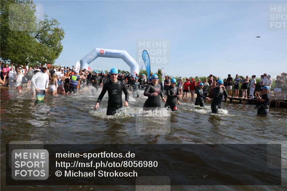 22.06.2025 - Viking Triathlon Michael Strokosch http://msf.ph/oto/8056980 22.06.2025 10:06:59 Schwimmen 66, 183, 244, 290, 318, 321, 328, 337, 369, 467, 468, 479, 494, 498, 525, 533, 631, 649 meine-sportfotos.de