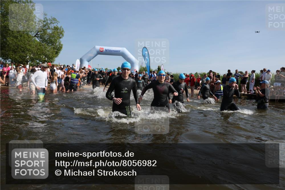 22.06.2025 - Viking Triathlon Michael Strokosch http://msf.ph/oto/8056982 22.06.2025 10:06:59 Schwimmen 66, 183, 244, 290, 318, 321, 328, 337, 369, 467, 468, 479, 494, 498, 525, 533, 631, 649 meine-sportfotos.de