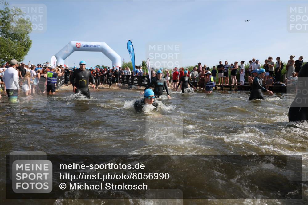 22.06.2025 - Viking Triathlon Michael Strokosch http://msf.ph/oto/8056990 22.06.2025 10:07:02 Schwimmen 64, 183, 244, 321, 328, 369, 431, 467, 468, 479, 494, 498, 533, 631, 649 meine-sportfotos.de