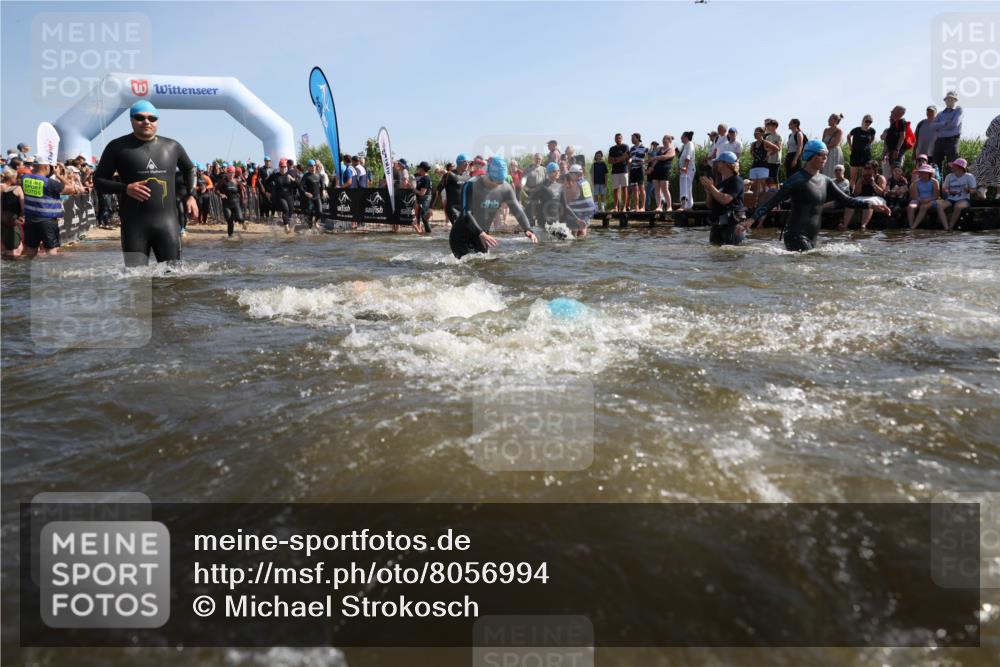 22.06.2025 - Viking Triathlon Michael Strokosch http://msf.ph/oto/8056994 22.06.2025 10:07:02 Schwimmen 64, 183, 244, 321, 328, 369, 431, 467, 468, 479, 494, 498, 533, 631, 649 meine-sportfotos.de