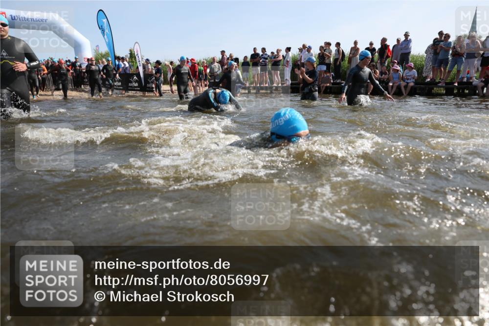22.06.2025 - Viking Triathlon Michael Strokosch http://msf.ph/oto/8056997 22.06.2025 10:07:03 Schwimmen 64, 183, 244, 321, 328, 369, 431, 467, 468, 479, 494, 498, 533, 631, 649 meine-sportfotos.de