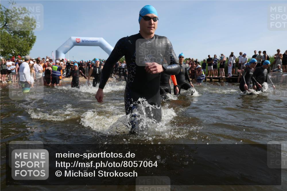 22.06.2025 - Viking Triathlon Michael Strokosch http://msf.ph/oto/8057064 22.06.2025 10:07:24 Schwimmen 155, 213, 235, 256, 267, 273, 317, 326, 333, 342, 343, 353, 421, 425, 531 meine-sportfotos.de