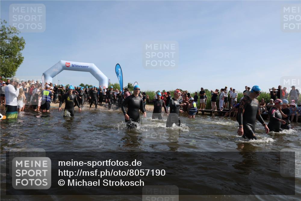 22.06.2025 - Viking Triathlon Michael Strokosch http://msf.ph/oto/8057190 22.06.2025 10:08:04 Schwimmen 51, 206, 268, 308, 378, 412, 422, 452, 466, 480, 523, 543, 647 meine-sportfotos.de
