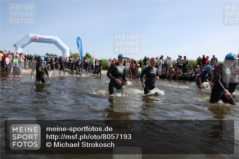 22.06.2025 - Viking Triathlon Michael Strokosch http://msf.ph/oto/8057193 22.06.2025 10:08:05 Schwimmen 51, 106, 116, 206, 268, 308, 378, 412, 422, 452, 466, 480, 523, 543, 647 meine-sportfotos.de