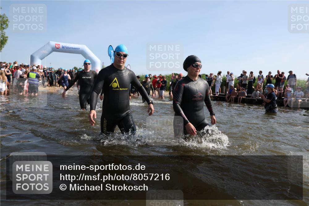 22.06.2025 - Viking Triathlon Michael Strokosch http://msf.ph/oto/8057216 22.06.2025 10:08:18 Schwimmen 37, 51, 106, 116, 133, 140, 222, 225, 364, 378, 403, 406, 410, 480, 638 meine-sportfotos.de