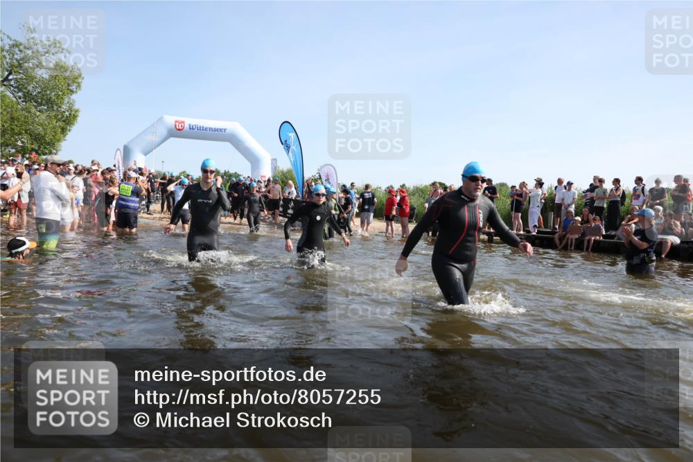 22.06.2025 - Viking Triathlon Michael Strokosch http://msf.ph/oto/8057255 22.06.2025 10:08:36 Schwimmen 71, 136, 166, 246, 303, 305, 319, 357, 360, 459, 470, 472, 481, 490, 542 meine-sportfotos.de
