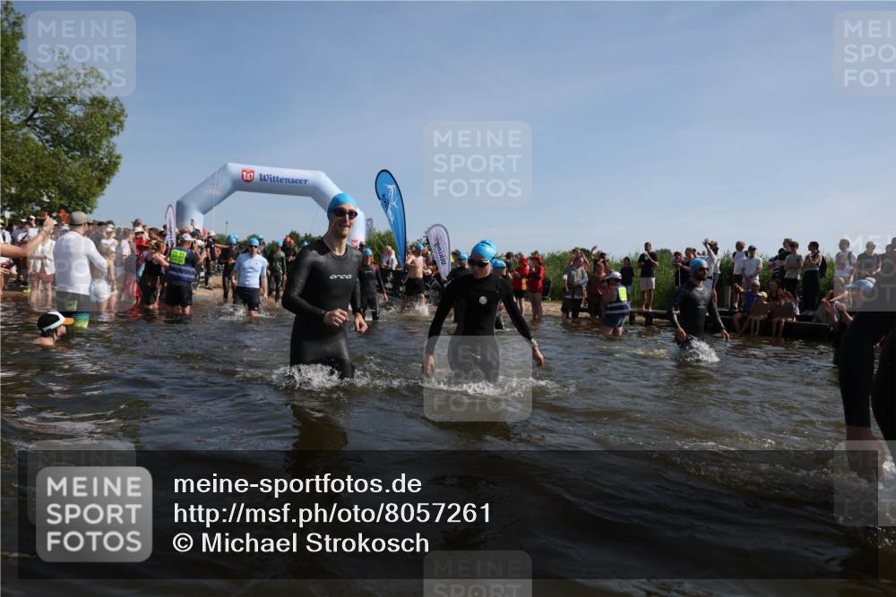 22.06.2025 - Viking Triathlon Michael Strokosch http://msf.ph/oto/8057261 22.06.2025 10:08:38 Schwimmen 71, 136, 166, 234, 246, 303, 305, 319, 357, 360, 459, 470, 472, 481, 490, 542, 656 meine-sportfotos.de