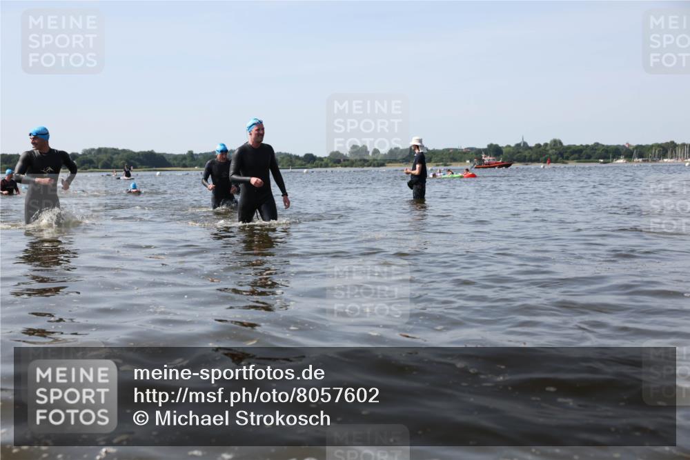 22.06.2025 - Viking Triathlon Michael Strokosch http://msf.ph/oto/8057602 22.06.2025 10:36:12 Schwimmen 19, 101, 313, 334, 377, 407, 448, 636 meine-sportfotos.de