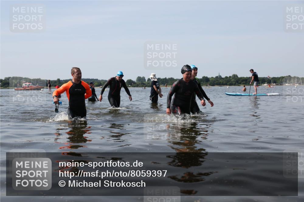 22.06.2025 - Viking Triathlon Michael Strokosch http://msf.ph/oto/8059397 22.06.2025 10:52:13 Schwimmen 116, 136, 481, 490, 542 meine-sportfotos.de