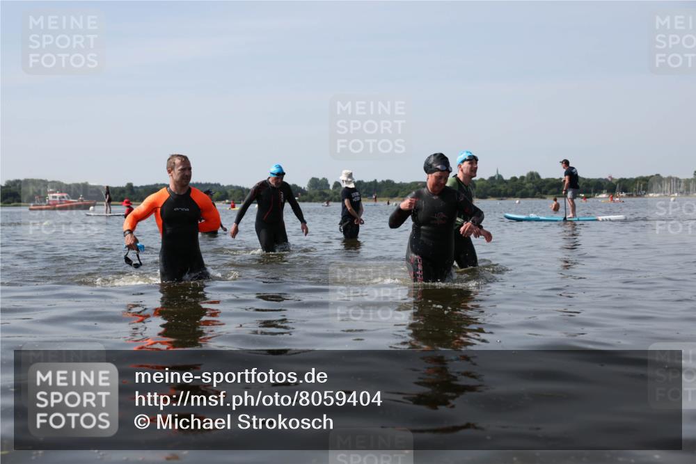 22.06.2025 - Viking Triathlon Michael Strokosch http://msf.ph/oto/8059404 22.06.2025 10:52:14 Schwimmen 116, 136, 481, 490, 542 meine-sportfotos.de