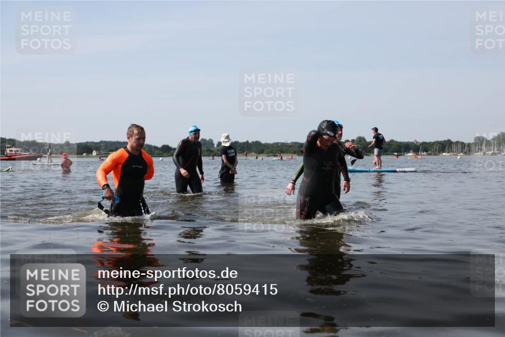 22.06.2025 - Viking Triathlon Michael Strokosch http://msf.ph/oto/8059415 22.06.2025 10:52:14 Schwimmen 116, 136, 481, 490, 542 meine-sportfotos.de