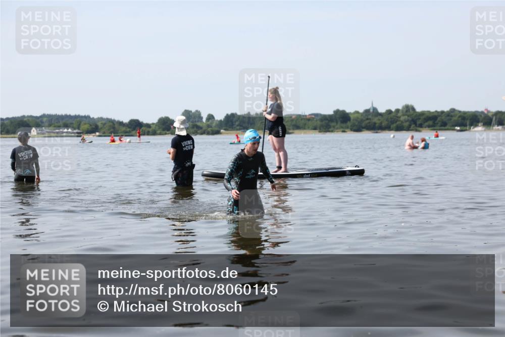 22.06.2025 - Viking Triathlon Michael Strokosch http://msf.ph/oto/8060145 22.06.2025 10:56:11 Schwimmen 499 meine-sportfotos.de