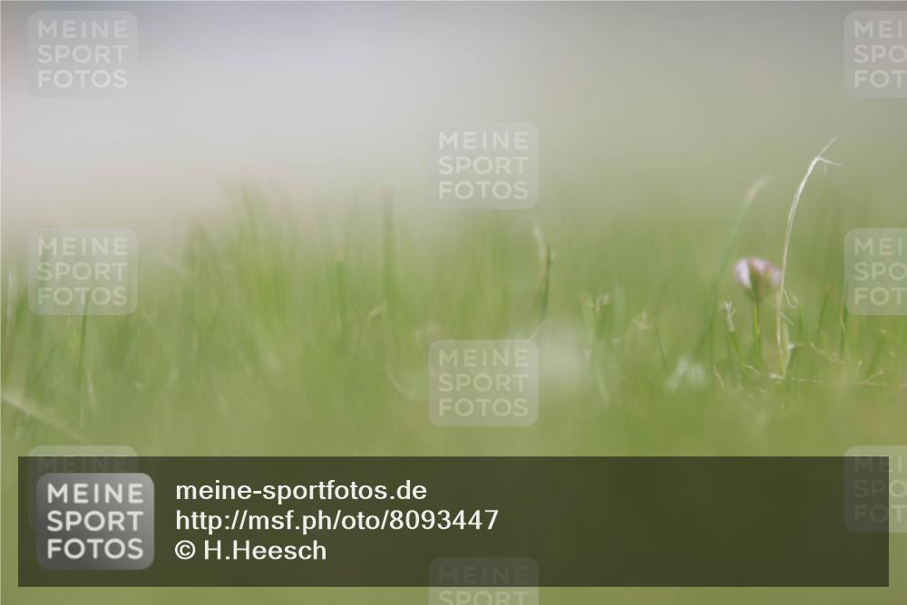 22.06.2025 - Viking Triathlon H.Heesch http://msf.ph/oto/8093447 22.06.2025 13:03:18 Laufen  meine-sportfotos.de