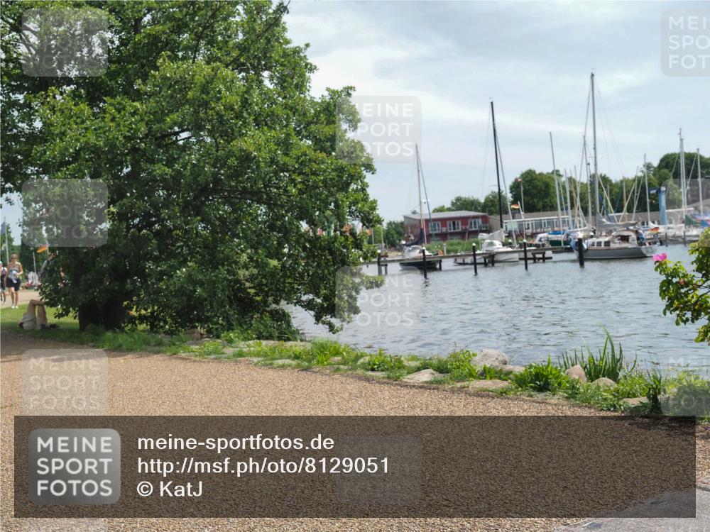 22.06.2025 - Viking Triathlon KatJ http://msf.ph/oto/8129051 22.06.2025 13:15:32 Laufen 226, 233, 451, 642 meine-sportfotos.de