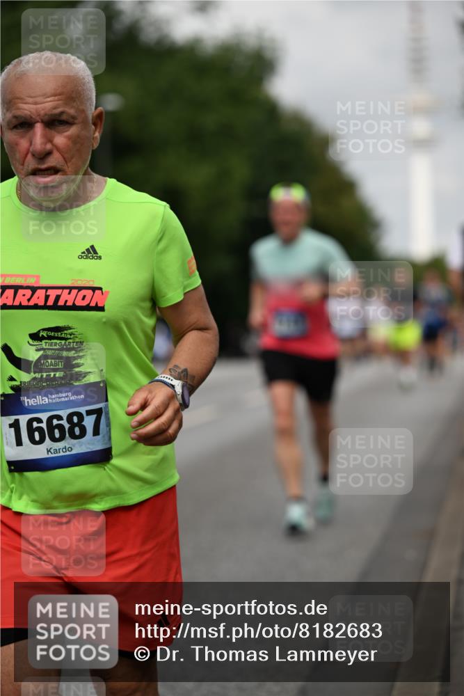 29.06.2025 - hella hamburg halbmarathon Dr. Thomas Lammeyer http://msf.ph/oto/8182683 29.06.2025 10:10:28 Kennedybrücke 1766, 1830, 1936, 1981, 2471, 2624, 3062, 4169, 4542, 4666, 5431, 6014, 7741, 8051, 8290, 8744, 10214, 10781 meine-sportfotos.de