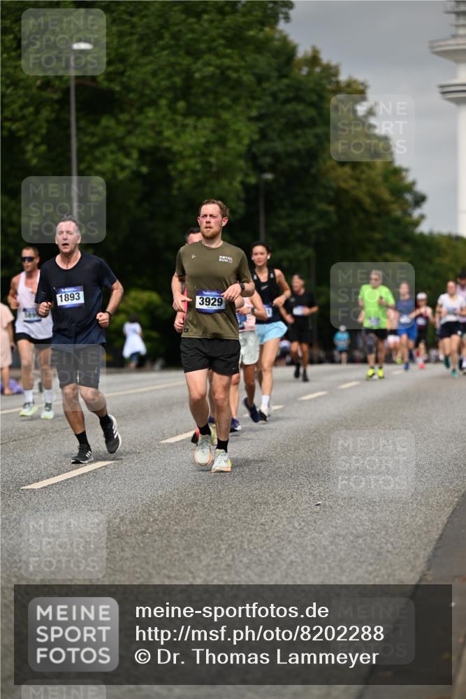 29.06.2025 - hella hamburg halbmarathon Dr. Thomas Lammeyer http://msf.ph/oto/8202288 29.06.2025 10:11:48 Kennedybrücke 1173, 1893, 1993, 2032, 2136, 3328, 3929, 4262, 5242, 5899, 6196, 6517, 6518, 6707, 6713, 6715, 6833, 7476, 7503, 7760, 8585, 9338, 9967, 10700 meine-sportfotos.de