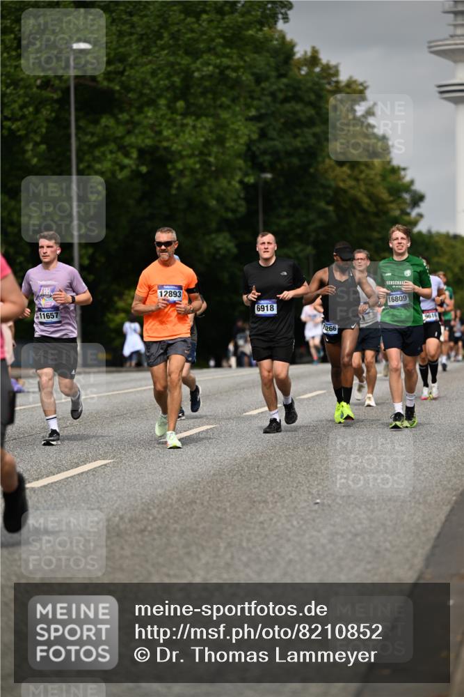 29.06.2025 - hella hamburg halbmarathon Dr. Thomas Lammeyer http://msf.ph/oto/8210852 29.06.2025 10:12:32 Kennedybrücke 1188, 1527, 2190, 2309, 4864, 5100, 5347, 6590, 6918, 7348, 7453, 9071, 9457, 9616, 9966 meine-sportfotos.de