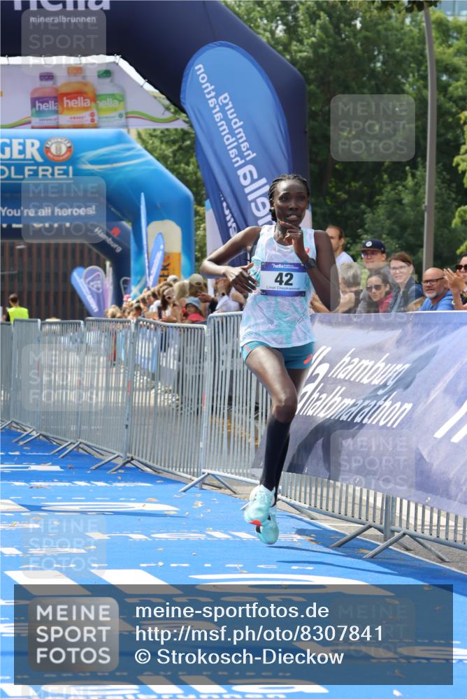 29.06.2025 - hella hamburg halbmarathon Strokosch-Dieckow http://msf.ph/oto/8307841 29.06.2025 10:13:59 Ziel 31, 42, 14689 meine-sportfotos.de