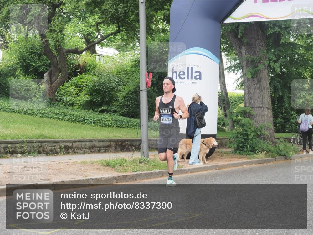 29.06.2025 - hella hamburg halbmarathon KatJ http://msf.ph/oto/8337390 29.06.2025 10:18:27 Zwischen KM18-KM19 3968, 6090 meine-sportfotos.de
