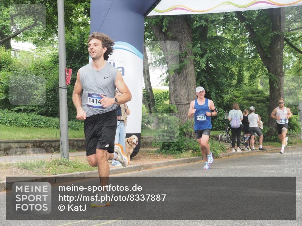 29.06.2025 - hella hamburg halbmarathon KatJ http://msf.ph/oto/8337887 29.06.2025 10:18:33 Zwischen KM18-KM19 2075 meine-sportfotos.de