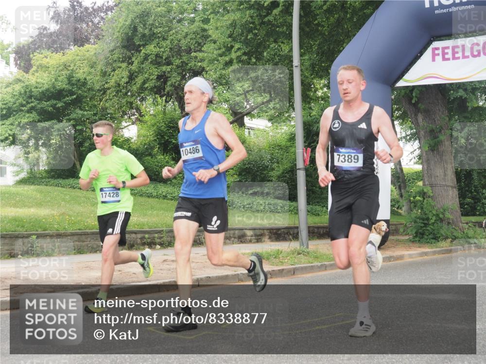 29.06.2025 - hella hamburg halbmarathon KatJ http://msf.ph/oto/8338877 29.06.2025 10:18:43 Zwischen KM18-KM19 1827, 7389, 8473 meine-sportfotos.de