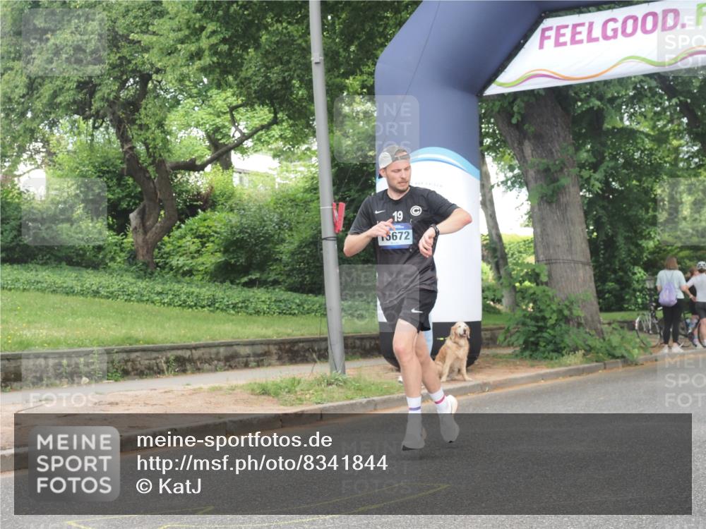 29.06.2025 - hella hamburg halbmarathon KatJ http://msf.ph/oto/8341844 29.06.2025 10:19:19 Zwischen KM18-KM19 3043, 6781, 7231 meine-sportfotos.de