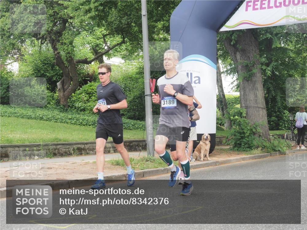 29.06.2025 - hella hamburg halbmarathon KatJ http://msf.ph/oto/8342376 29.06.2025 10:19:32 Zwischen KM18-KM19 3189, 5308 meine-sportfotos.de