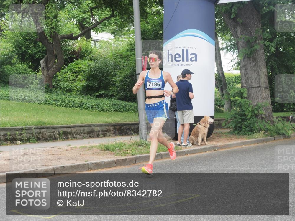 29.06.2025 - hella hamburg halbmarathon KatJ http://msf.ph/oto/8342782 29.06.2025 10:19:37 Zwischen KM18-KM19 3189, 5308, 7186 meine-sportfotos.de