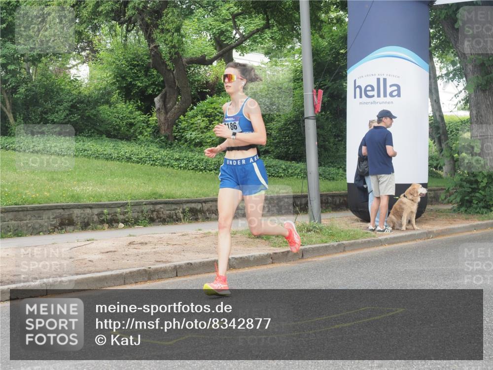 29.06.2025 - hella hamburg halbmarathon KatJ http://msf.ph/oto/8342877 29.06.2025 10:19:37 Zwischen KM18-KM19 3189, 5308, 7186 meine-sportfotos.de