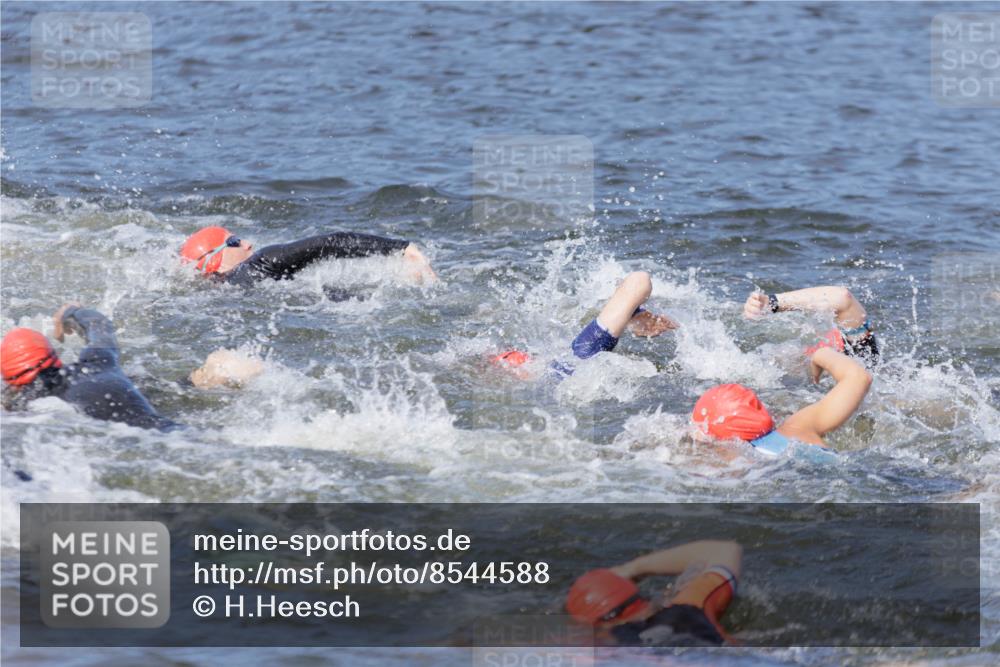 10.08.2025 - GEWOBA Citytriathlon Bremen H.Heesch http://msf.ph/oto/8544588 10.08.2025 10:03:58 Schwimmen  meine-sportfotos.de