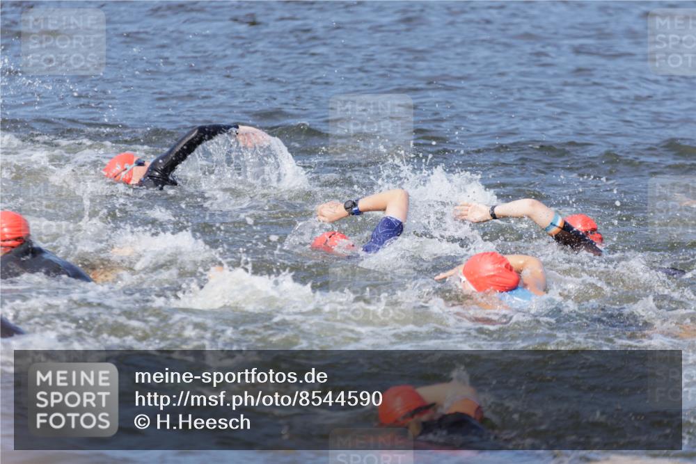 10.08.2025 - GEWOBA Citytriathlon Bremen H.Heesch http://msf.ph/oto/8544590 10.08.2025 10:03:58 Schwimmen  meine-sportfotos.de