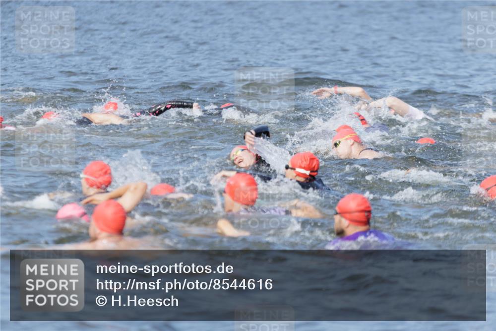 10.08.2025 - GEWOBA Citytriathlon Bremen H.Heesch http://msf.ph/oto/8544616 10.08.2025 10:04:12 Schwimmen  meine-sportfotos.de