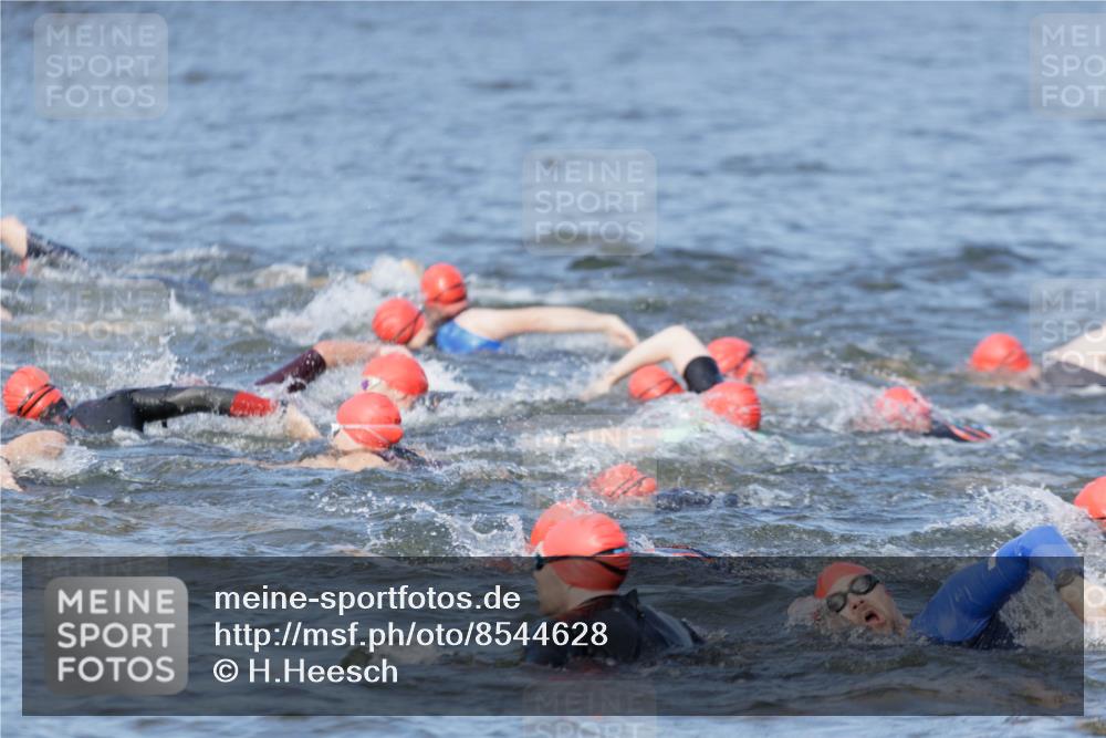 10.08.2025 - GEWOBA Citytriathlon Bremen H.Heesch http://msf.ph/oto/8544628 10.08.2025 10:04:13 Schwimmen  meine-sportfotos.de