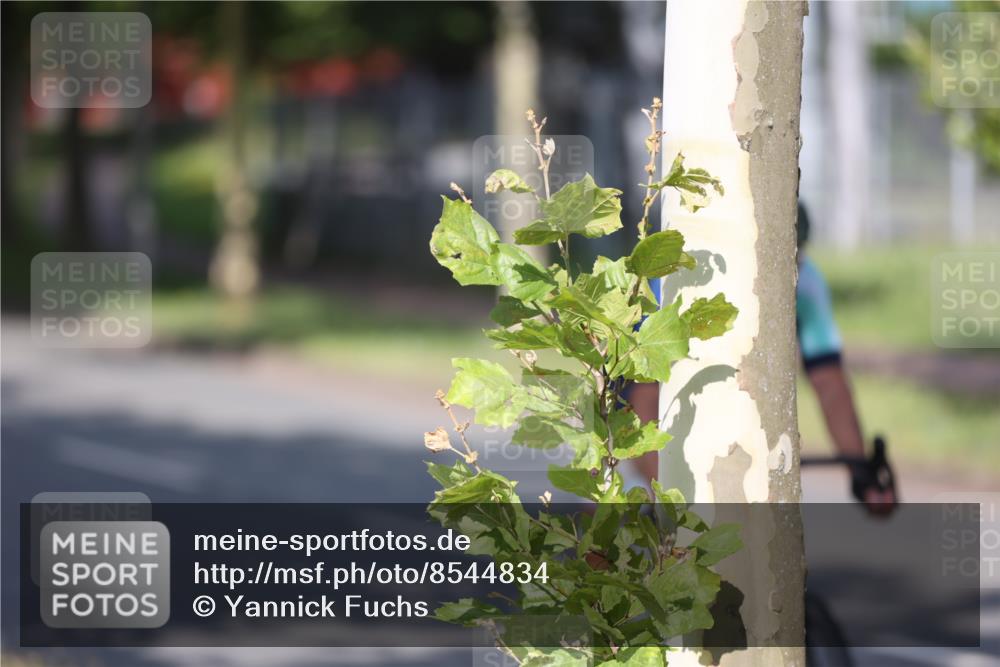 10.08.2025 - GEWOBA Citytriathlon Bremen Yannick Fuchs http://msf.ph/oto/8544834 10.08.2025 10:59:54 Radfahren 47, 141, 197, 201, 417, 475, 498 meine-sportfotos.de