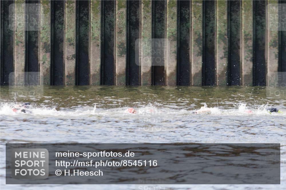 10.08.2025 - GEWOBA Citytriathlon Bremen H.Heesch http://msf.ph/oto/8545116 10.08.2025 10:04:36 Schwimmen  meine-sportfotos.de