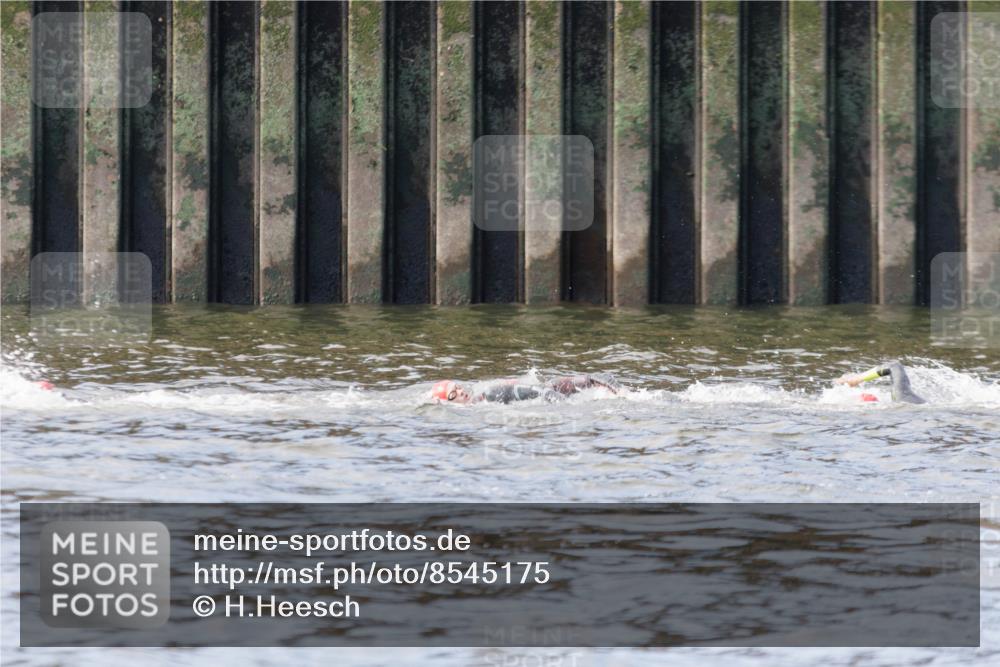 10.08.2025 - GEWOBA Citytriathlon Bremen H.Heesch http://msf.ph/oto/8545175 10.08.2025 10:04:36 Schwimmen  meine-sportfotos.de