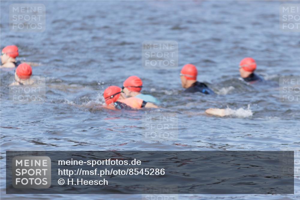 10.08.2025 - GEWOBA Citytriathlon Bremen H.Heesch http://msf.ph/oto/8545286 10.08.2025 10:04:45 Schwimmen  meine-sportfotos.de