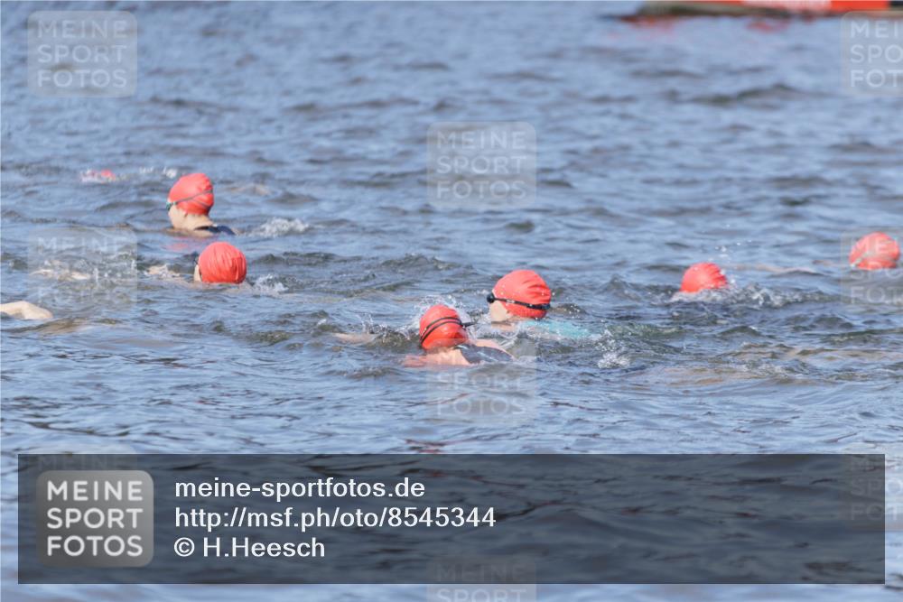 10.08.2025 - GEWOBA Citytriathlon Bremen H.Heesch http://msf.ph/oto/8545344 10.08.2025 10:04:46 Schwimmen  meine-sportfotos.de