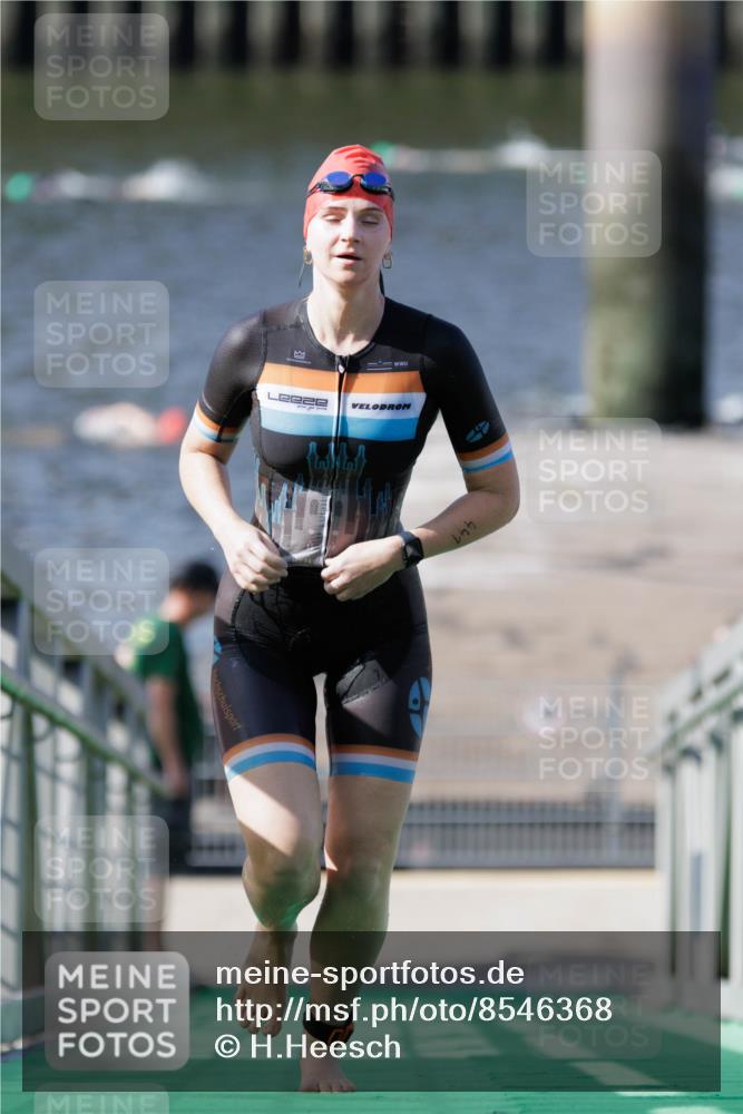 10.08.2025 - GEWOBA Citytriathlon Bremen H.Heesch http://msf.ph/oto/8546368 10.08.2025 10:17:29 Schwimmen 441 meine-sportfotos.de