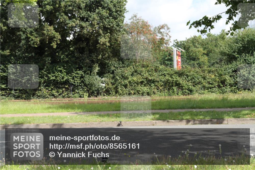 10.08.2025 - GEWOBA Citytriathlon Bremen Yannick Fuchs http://msf.ph/oto/8565161 10.08.2025 12:01:05 Radfahren 579 meine-sportfotos.de