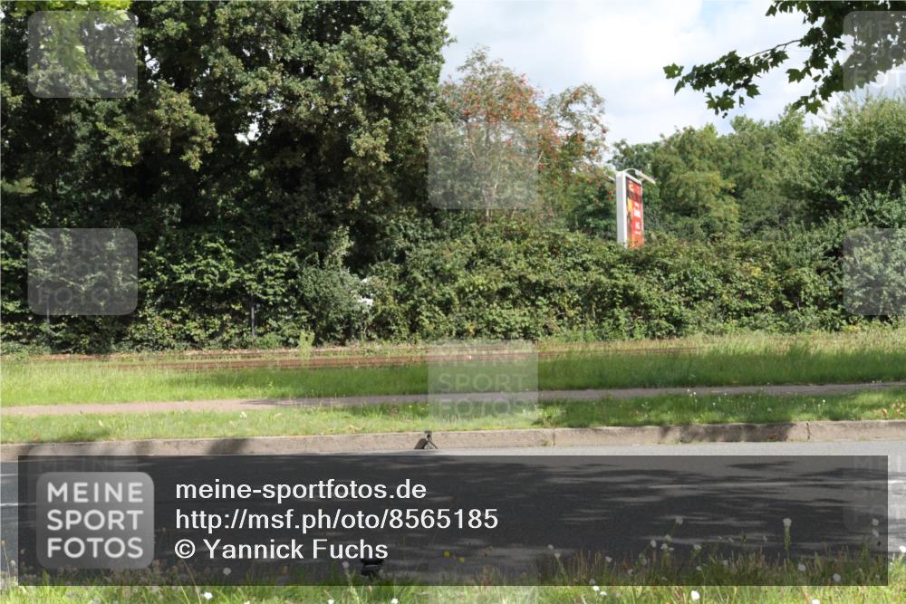 10.08.2025 - GEWOBA Citytriathlon Bremen Yannick Fuchs http://msf.ph/oto/8565185 10.08.2025 12:01:12 Radfahren 579 meine-sportfotos.de